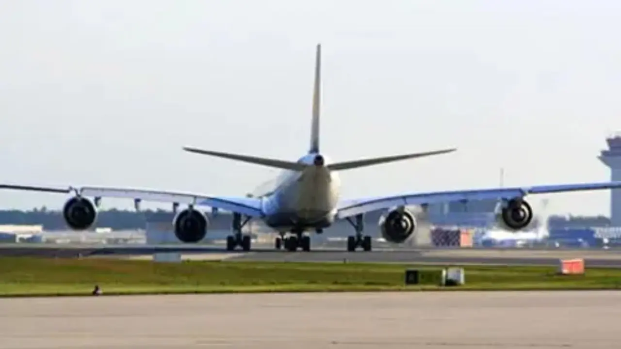 Bird hit delays an IndiGo flight from Bengaluru to Mumbai for over an hour. File Pic